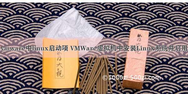 vmware中linux启动项 VMWare虚拟机中安装Linux系统并启用