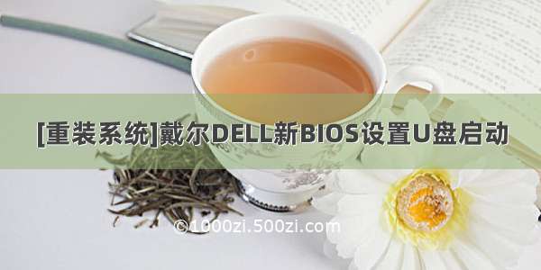 [重装系统]戴尔DELL新BIOS设置U盘启动