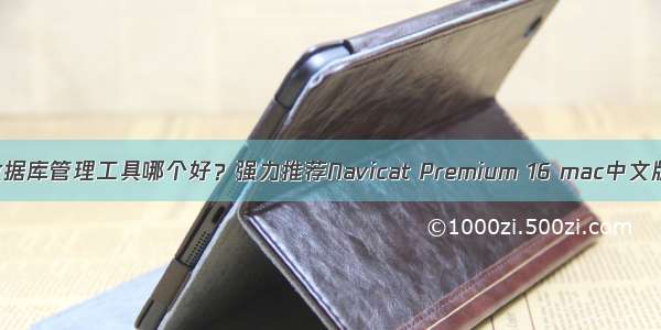 数据库管理工具哪个好？强力推荐Navicat Premium 16 mac中文版