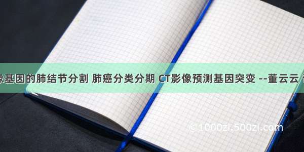 基于影像基因的肺结节分割 肺癌分类分期 CT影像预测基因突变 --董云云 论文阅读