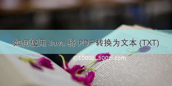 如何使用 Java 将 PDF 转换为文本 (TXT)