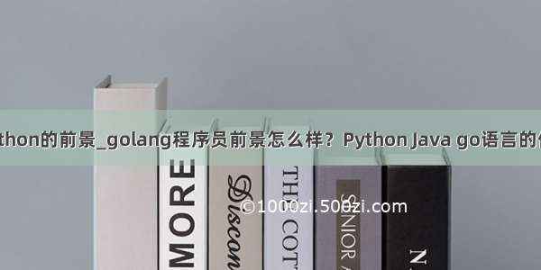 go与python的前景_golang程序员前景怎么样？Python Java go语言的优势互比