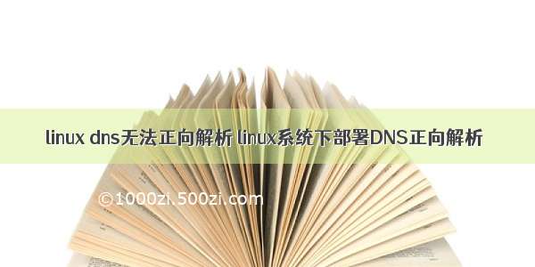 linux dns无法正向解析 linux系统下部署DNS正向解析