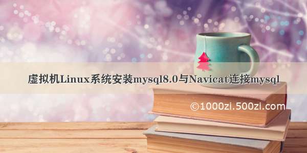 虚拟机Linux系统安装mysql8.0与Navicat连接mysql