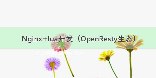 Nginx+lua开发（OpenResty生态）