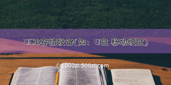 USB存储设备(如：U盘 移动硬盘)