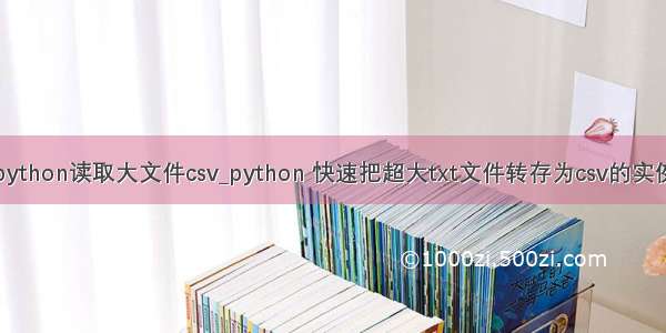 python读取大文件csv_python 快速把超大txt文件转存为csv的实例