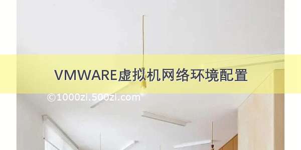 VMWARE虚拟机网络环境配置