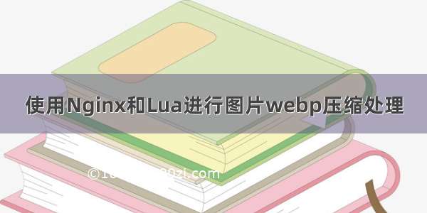 使用Nginx和Lua进行图片webp压缩处理