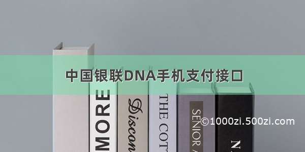 中国银联DNA手机支付接口