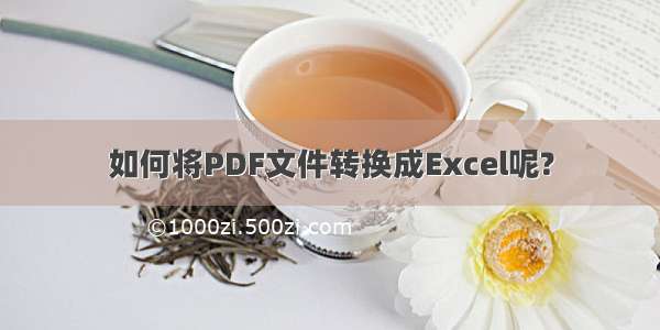 如何将PDF文件转换成Excel呢?