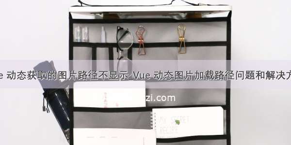 vue 动态获取的图片路径不显示_Vue 动态图片加载路径问题和解决方法