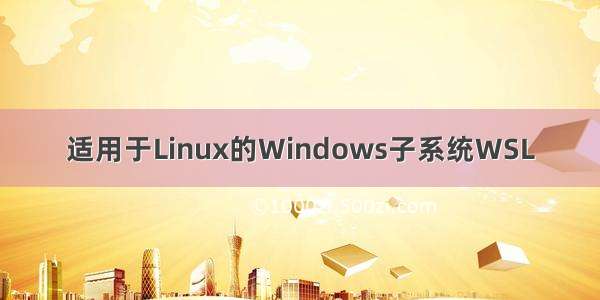 适用于Linux的Windows子系统WSL