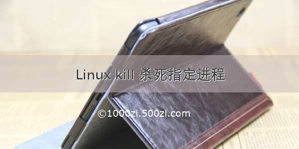 Linux kill 杀死指定进程