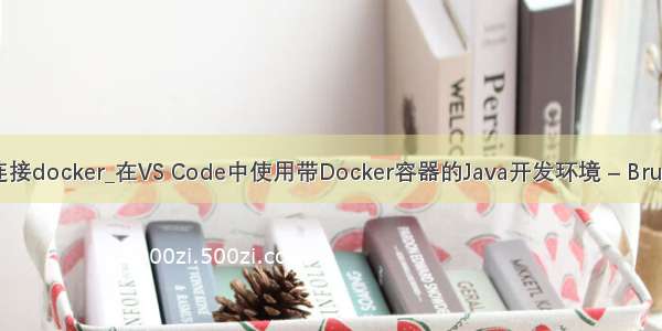 vscode 连接docker_在VS Code中使用带Docker容器的Java开发环境 – Bruno Borge