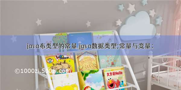 java布类型的常量 java数据类型;常量与变量；