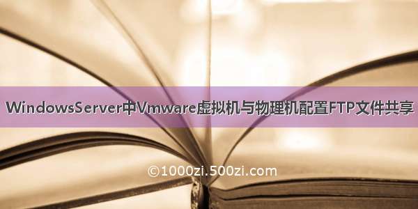 WindowsServer中Vmware虚拟机与物理机配置FTP文件共享