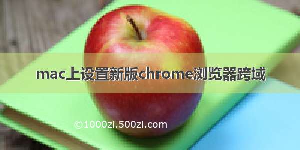 mac上设置新版chrome浏览器跨域