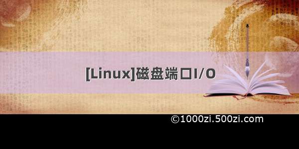 [Linux]磁盘端口I/O