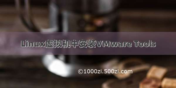 Linux虚拟机中安装VMware Tools