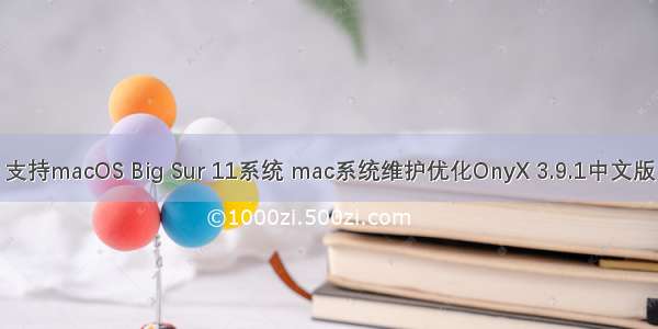 支持macOS Big Sur 11系统 mac系统维护优化OnyX 3.9.1中文版