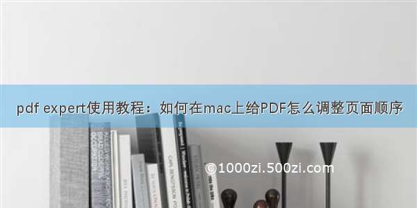 pdf expert使用教程：如何在mac上给PDF怎么调整页面顺序