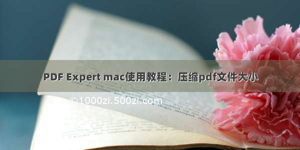 PDF Expert mac使用教程：压缩pdf文件大小