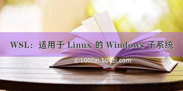 WSL：适用于 Linux 的 Windows 子系统