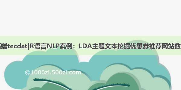 拓端tecdat|R语言NLP案例：LDA主题文本挖掘优惠券推荐网站数据