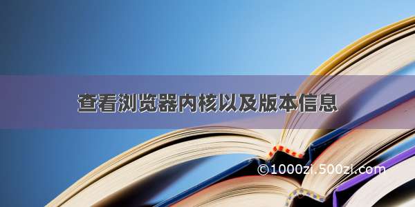 查看浏览器内核以及版本信息