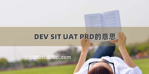 DEV SIT UAT PRD的意思