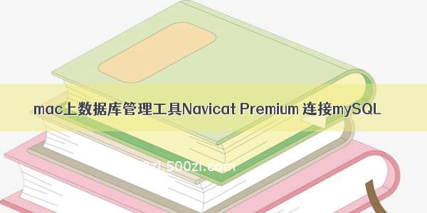 mac上数据库管理工具Navicat Premium 连接mySQL