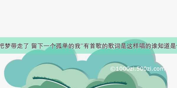 “你走了把梦带走了 留下一个孤单的我”有首歌的歌词是这样唱的谁知道是什么歌啊