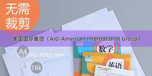 美国国际集团（AIG-American International Group）