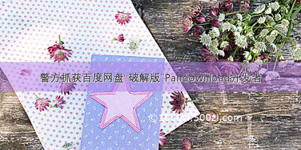 警方抓获百度网盘“破解版”Pandownload开发者