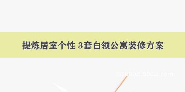 提炼居室个性 3套白领公寓装修方案