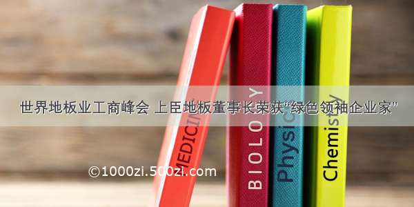 世界地板业工商峰会 上臣地板董事长荣获“绿色领袖企业家”