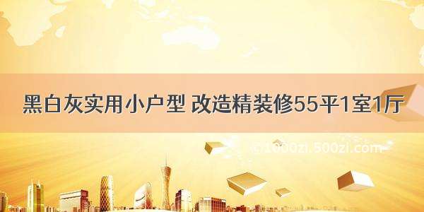 黑白灰实用小户型 改造精装修55平1室1厅