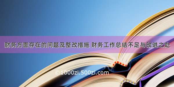 财务方面存在的问题及整改措施 财务工作总结不足与改进之处