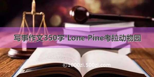 写事作文350字 Lone Pine考拉动物园