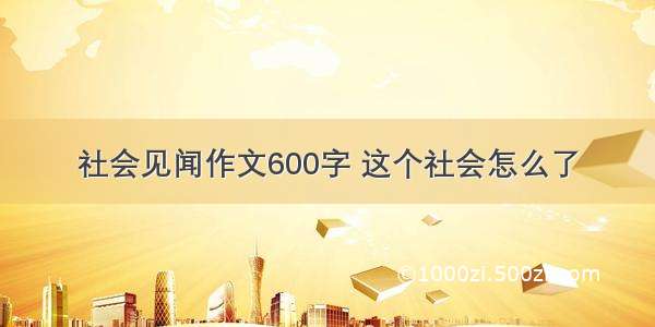 社会见闻作文600字 这个社会怎么了