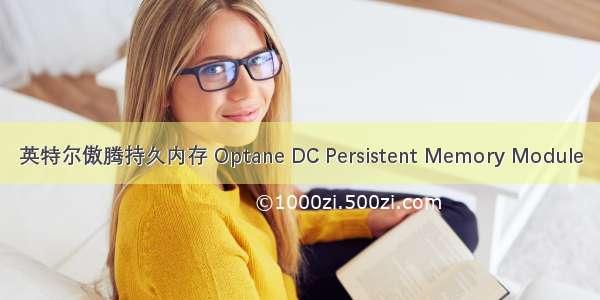 英特尔傲腾持久内存 Optane DC Persistent Memory Module