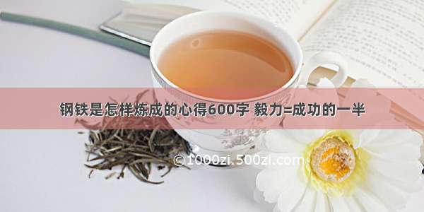 钢铁是怎样炼成的心得600字 毅力=成功的一半