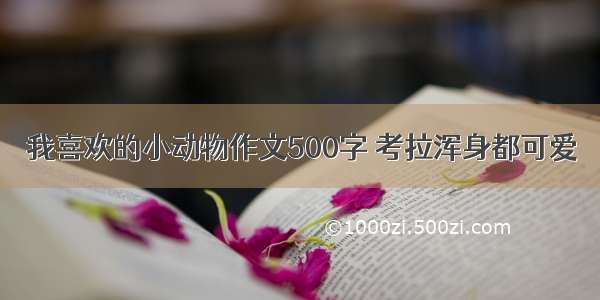 我喜欢的小动物作文500字 考拉浑身都可爱