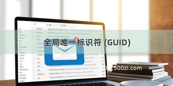 全局唯一标识符 (GUID)