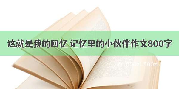 这就是我的回忆 记忆里的小伙伴作文800字