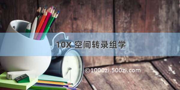 10X 空间转录组学