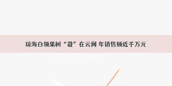 琼海白领果树“栽”在云网 年销售额近千万元