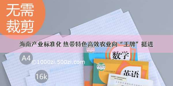 海南产业标准化 热带特色高效农业向“王牌”挺进