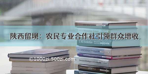 陕西留坝：农民专业合作社引领群众增收